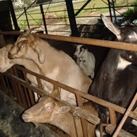 2008.01.05-029.JPG
