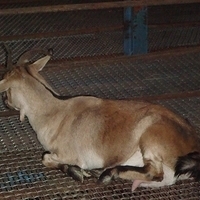 2008.01.05-030.JPG