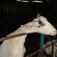 2008.01.05-031.JPG