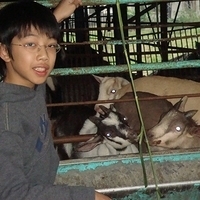 2008.01.05-034.JPG