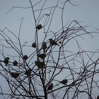 2008.01.05-038.JPG
