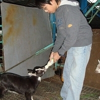 2008.01.05-044.JPG