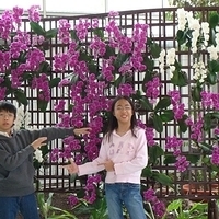2008.01.05-080.JPG