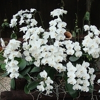 2008.01.05-082.JPG