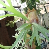 2008.01.05-086.JPG