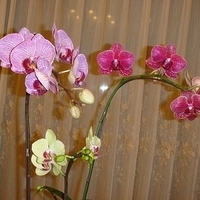 2008.01.17-003.JPG