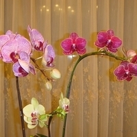 2008.01.17-004.JPG