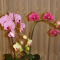 2008.01.17-005.JPG