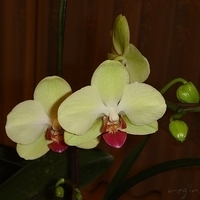 2008.01.17-009.JPG