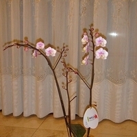 2008.01.17-013.JPG