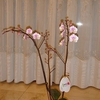 2008.01.17-014.JPG