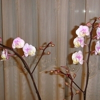 2008.01.17-016.JPG