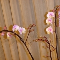 2008.01.17-018.JPG