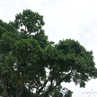 2008.04.19-003.JPG