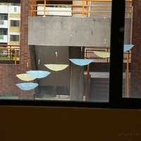 2008.04.19-008.JPG