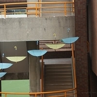 2008.04.19-012.JPG