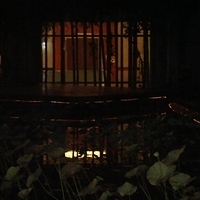 2008.11.28-022