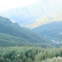 2010.11.30-041.JPG