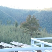 2010.11.30-046.JPG