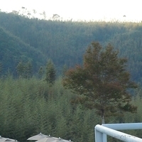 2010.11.30-047.JPG