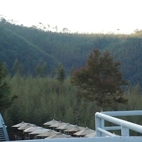 2010.11.30-048.JPG