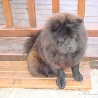 2010.11.30-054.JPG