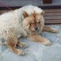 2010.11.30-055.JPG