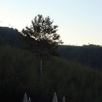 2010.11.30-059.JPG