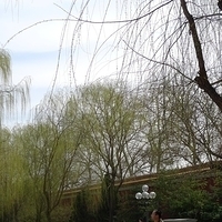 2009.03.26-Beijing-033.JPG