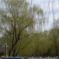 2009.03.26-Beijing-034.JPG