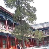 2009.03.27-Beijing-015.JPG