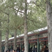 2009.03.29-Beijing-059.JPG