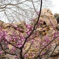 2009.03.29-Beijing-061.JPG