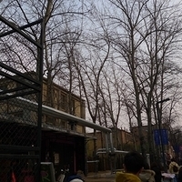 2009.03.29-Beijing-070.JPG