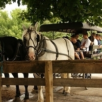 2009.06.28-amish-004.JPG