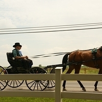 2009.06.28-amish-005.JPG