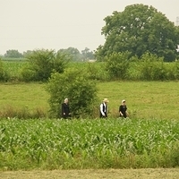 2009.06.28-amish-012.JPG