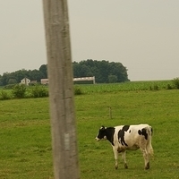 2009.06.28-amish-013.JPG