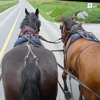 2009.06.28-amish-016.JPG