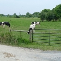 2009.06.28-amish-018.JPG