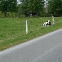 2009.06.28-amish-019.JPG