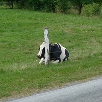 2009.06.28-amish-020.JPG