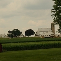 2009.06.28-amish-024.JPG
