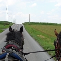 2009.06.28-amish-026.JPG