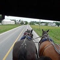 2009.06.28-amish-032.JPG