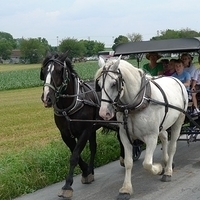 2009.06.28-amish-036.JPG