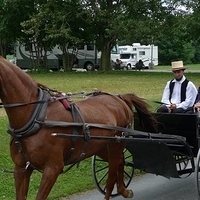 2009.06.28-amish-037.JPG