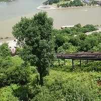 2009.06.21-city-068.JPG