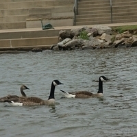 2009.06.21-city-104.JPG