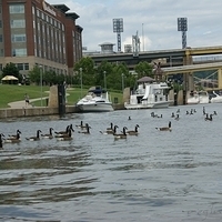 2009.06.21-city-128.JPG